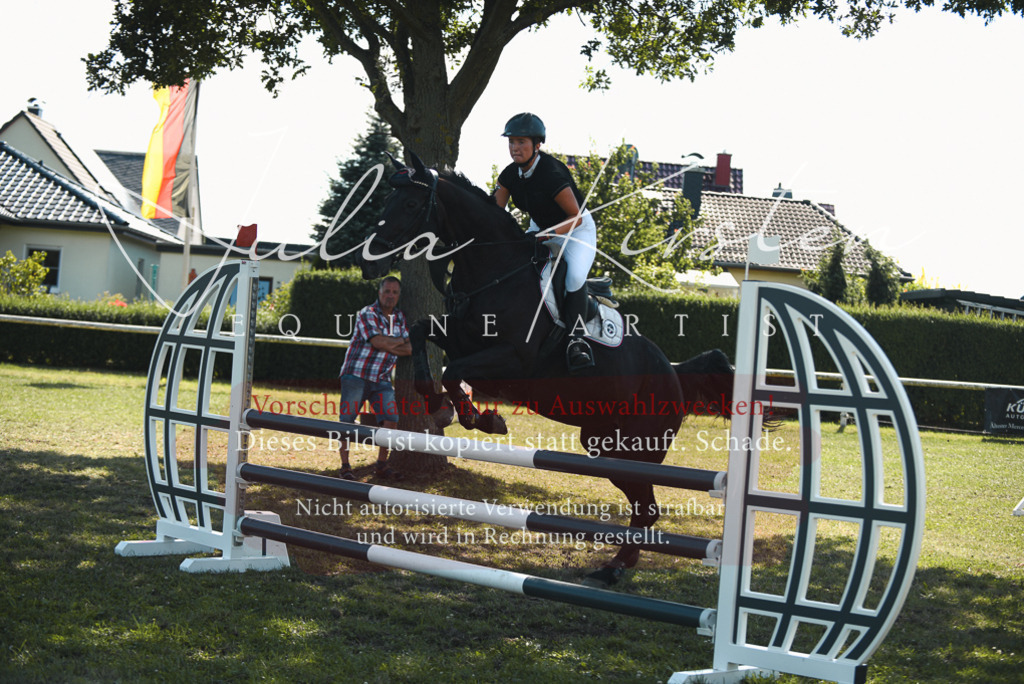 DSC_7063 | Pferde- und Turnierfotografie in Westsachsen. Pferdeportraits, Auftragszeichnungen und intuitive Kunst.