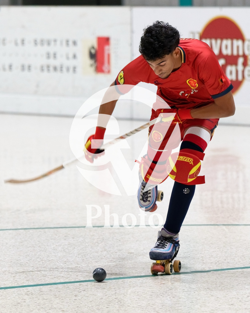 LNA - Geneve RHC v RC Biasca |  during the LNA match between Geneve RHC and RC Biasca at Centre Sportif Queue D'Arve in Geneve, Switzerland
