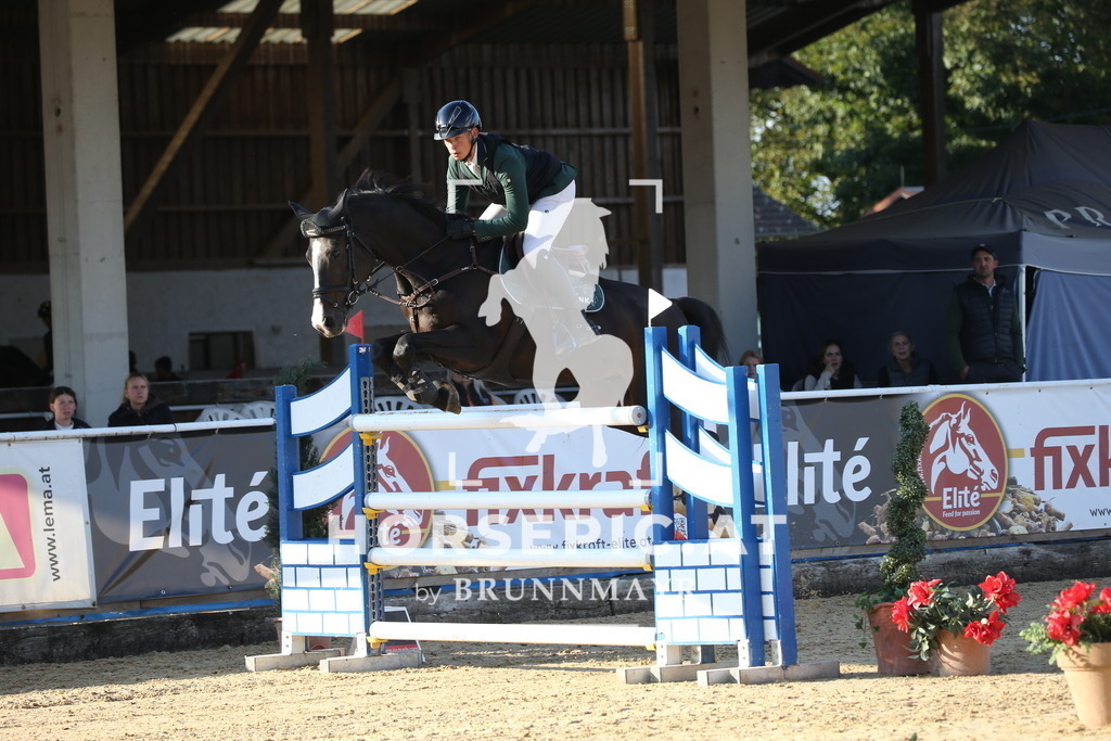 DL2Q5860 | Willkommen bei Brunnmayr - Design & Fotografie – Ihrem Spezialisten für Reitturniere und Pferdeveranstaltungen in Oberösterreich, Salzburg und Bayern! Seit über 17 Jahren sind wir leidenschaftlich dabei.