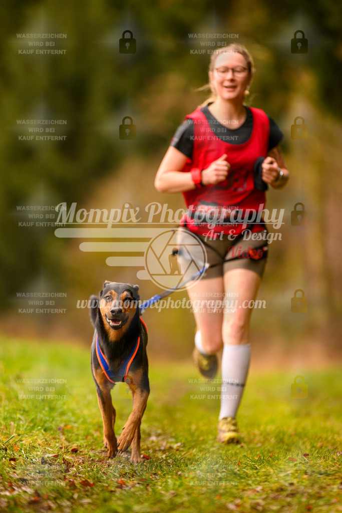 MompixPhotography_2SSTSSBW_2025_SO_Canicross-20 | PayLife