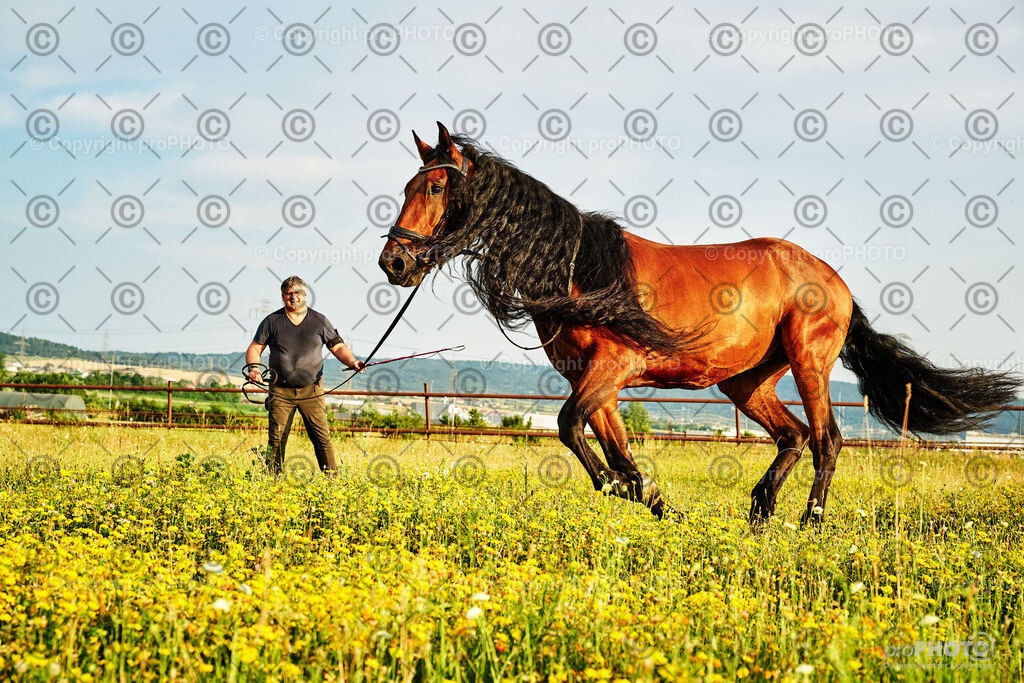 353_202406_Niki-Herodes_NZ9_0349 | proPHOTO - Realisiert mit Pictrs.com