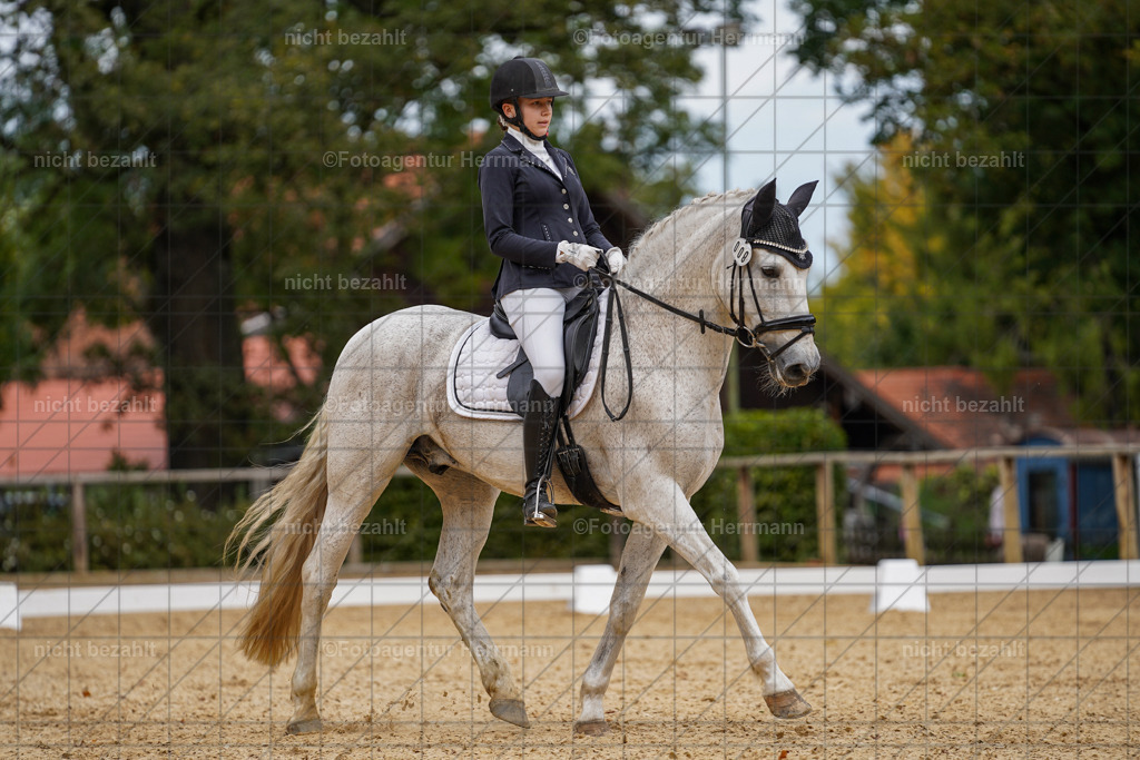 20231007-SN_00423 | Diessen am Ammersee, 2023, Dressur- und Springturnier, Reitsport, Turnierfotografie, Pferdebilder, Reitbilder, Turnierfotografen Bayern, Fotoagentur Herrmann
