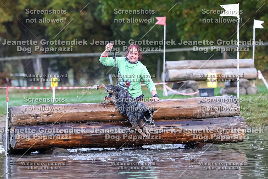 Dog Paparazzi - Strongdog 10-25-6374 | Dog Paparazzi Jeanette Grottendiek Fotografie & Videografie - Realisiert mit Pictrs.com