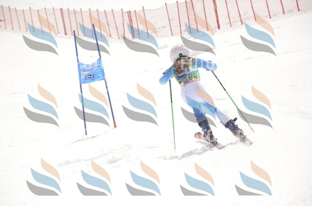 _ELE9121 | holidayphoto