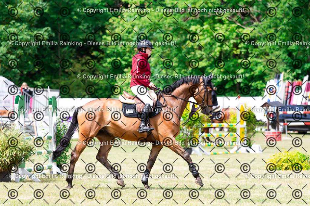 CL5A6004 | Emilia Reinking Fotografie - Realisiert mit Pictrs.com