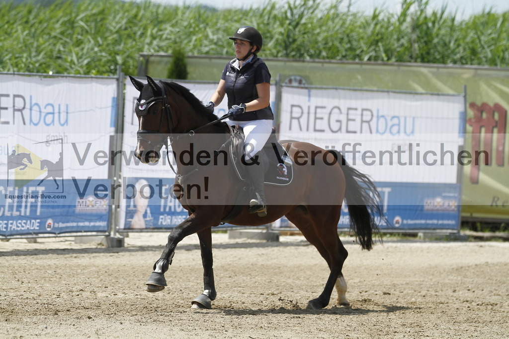 _MG_5238 | equestrian-live-com