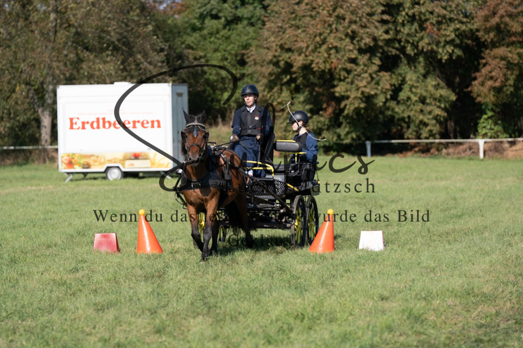 A7V04401 | Pferdefotograf