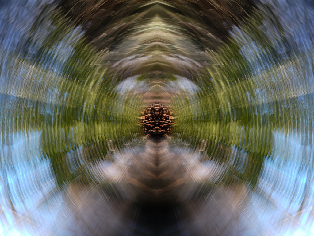 2024_01_27 A7V03354-2 | bridgeman - Realisiert mit Pictrs.com