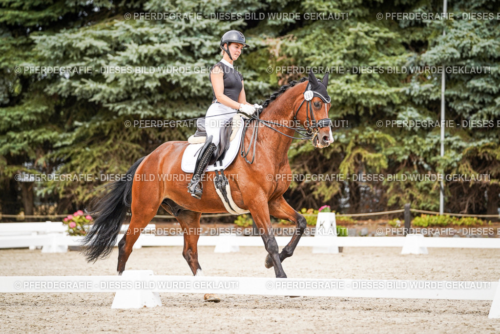 DSC05985 | Pferdegrafie