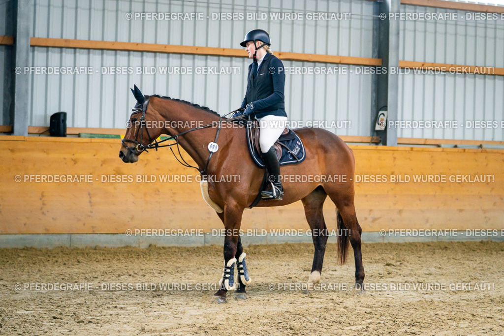 DSC00555 | Pferdegrafie