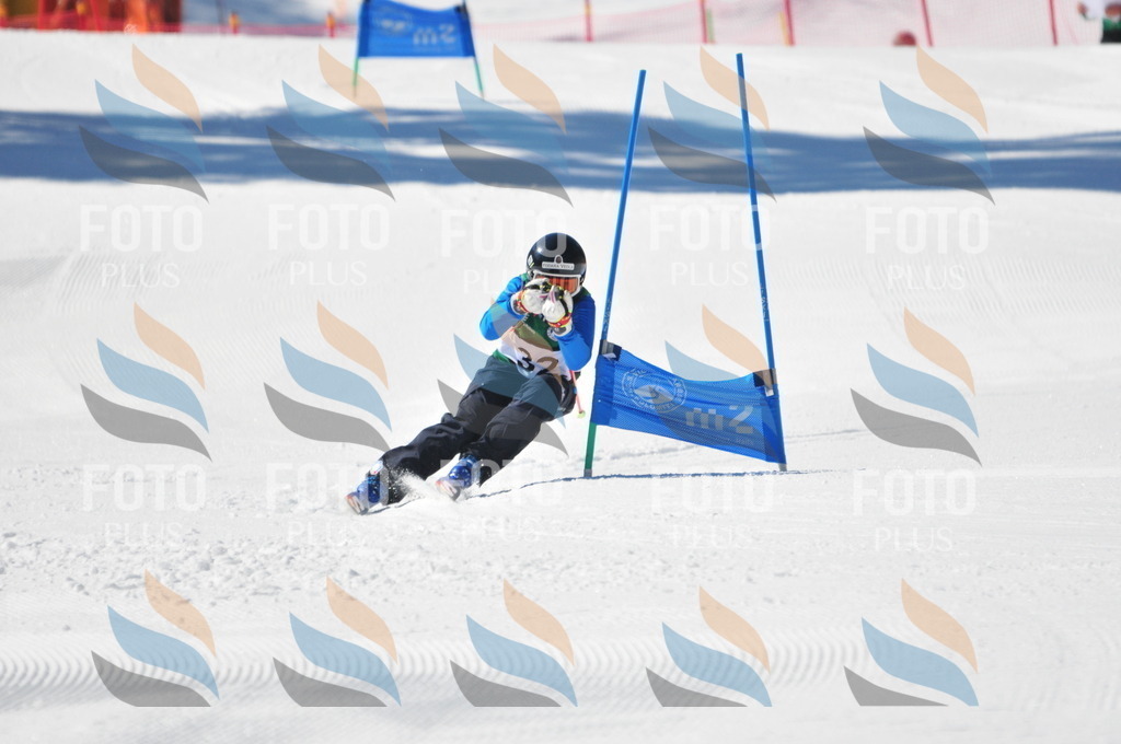 C3530 | holidayphoto