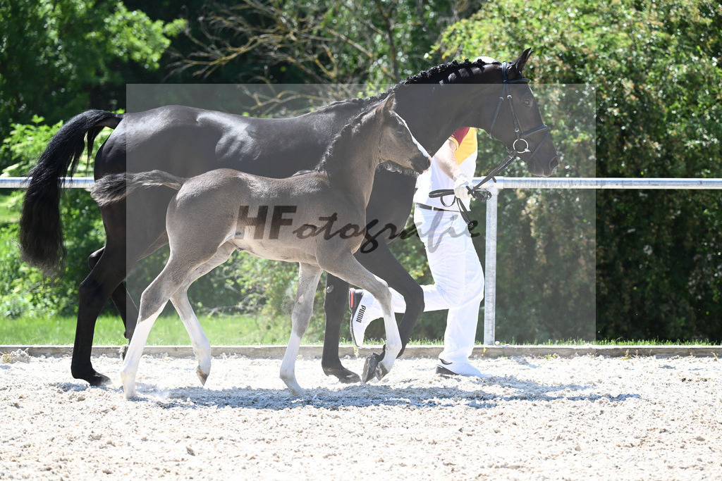 Kat-Nr. 27 SF Expresso_Lechner_16230442 | hf-fotografie - Realisiert mit Pictrs.com