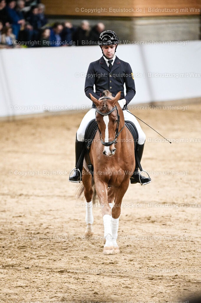 20260307_Hengstvorstellung-Marbach_0224 | equistock