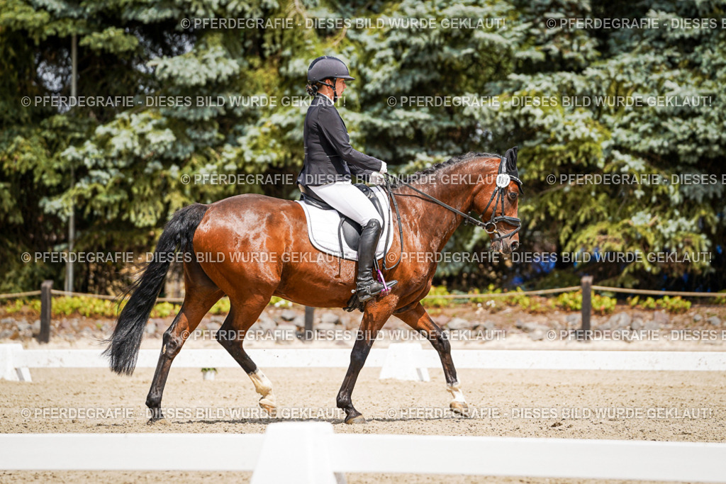 DSC02311 | Pferdegrafie