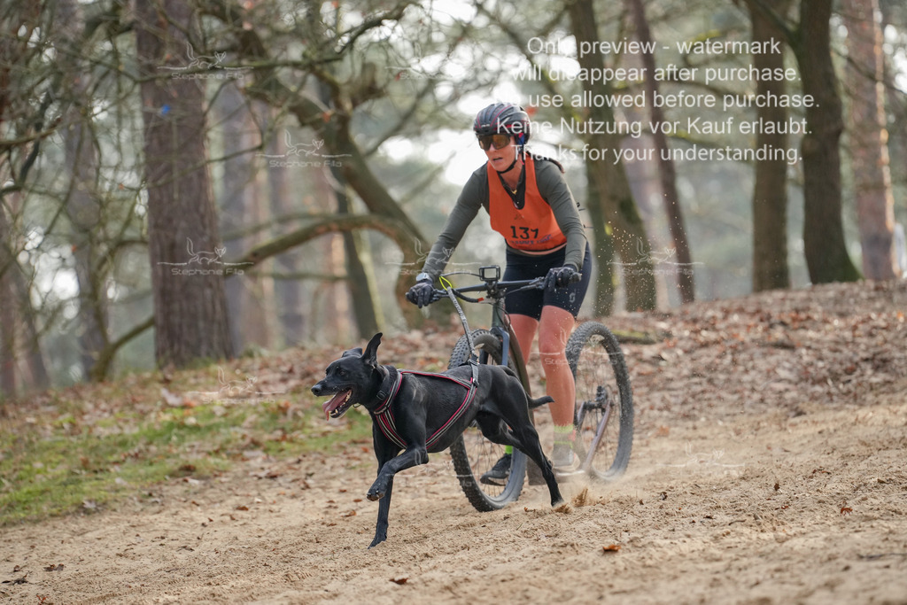 Scooter2-2 | stephaniefillaphotographie - Realisiert mit Pictrs.com