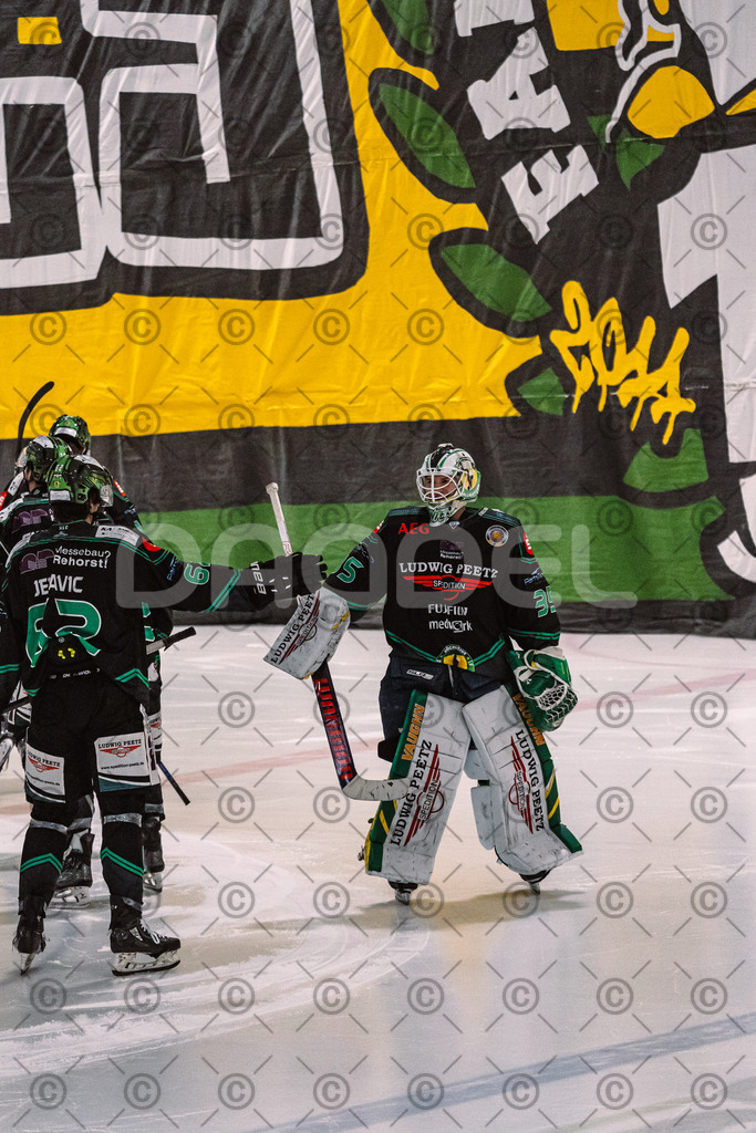 Alligators_vs_Memmingen_09_01_2026-32 | Höchstadt Alligators Fotogalerie: Eishockey-Action aus Franken. Professionelle Spielfotos, Portraits & Stadionbilder zum Download. Jetzt entdecken! - Realisiert mit Pictrs.com