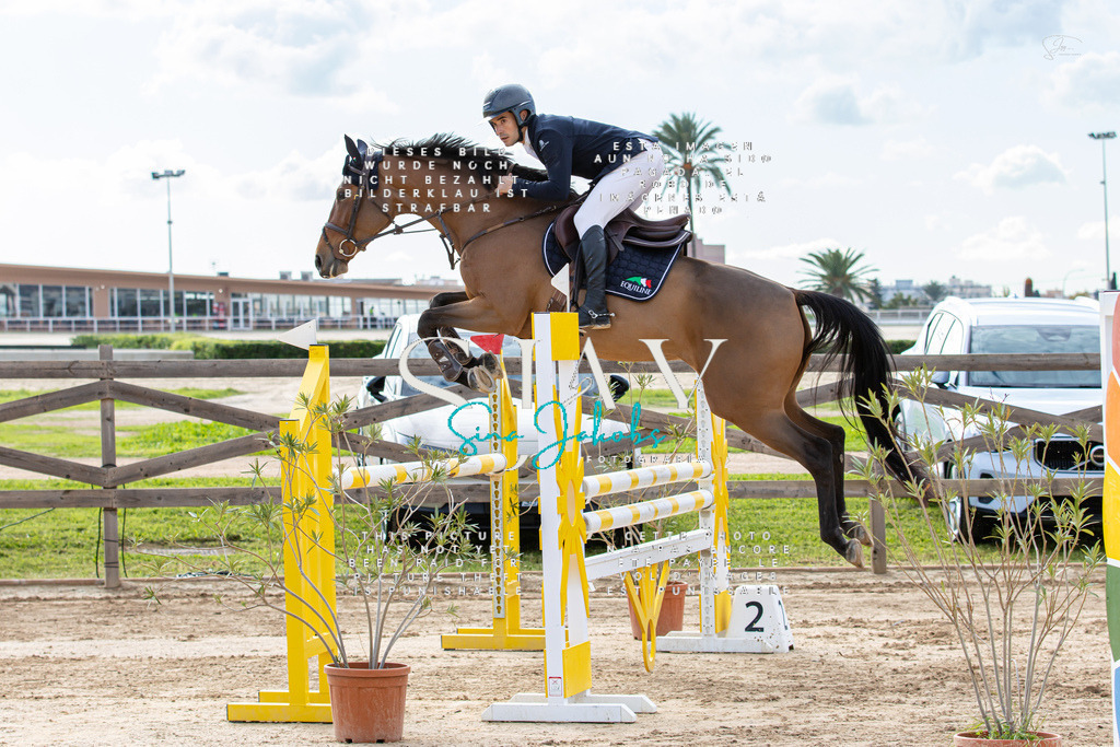 IMG_2520 | s-jay-photography - Realisiert mit Pictrs.com