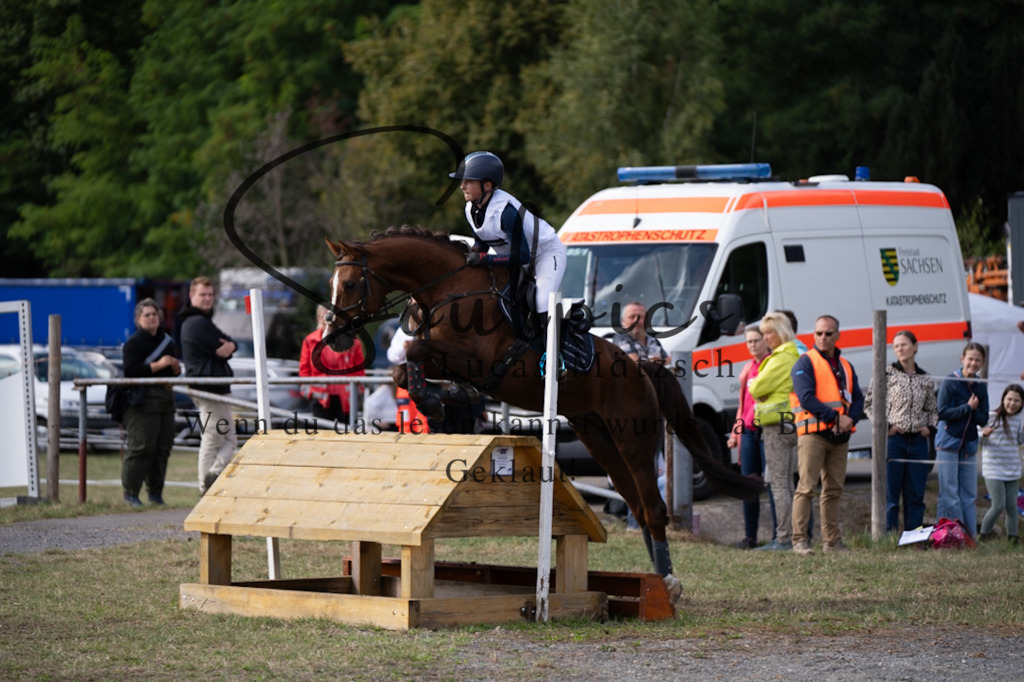 A7V01009 | Pferdefotograf