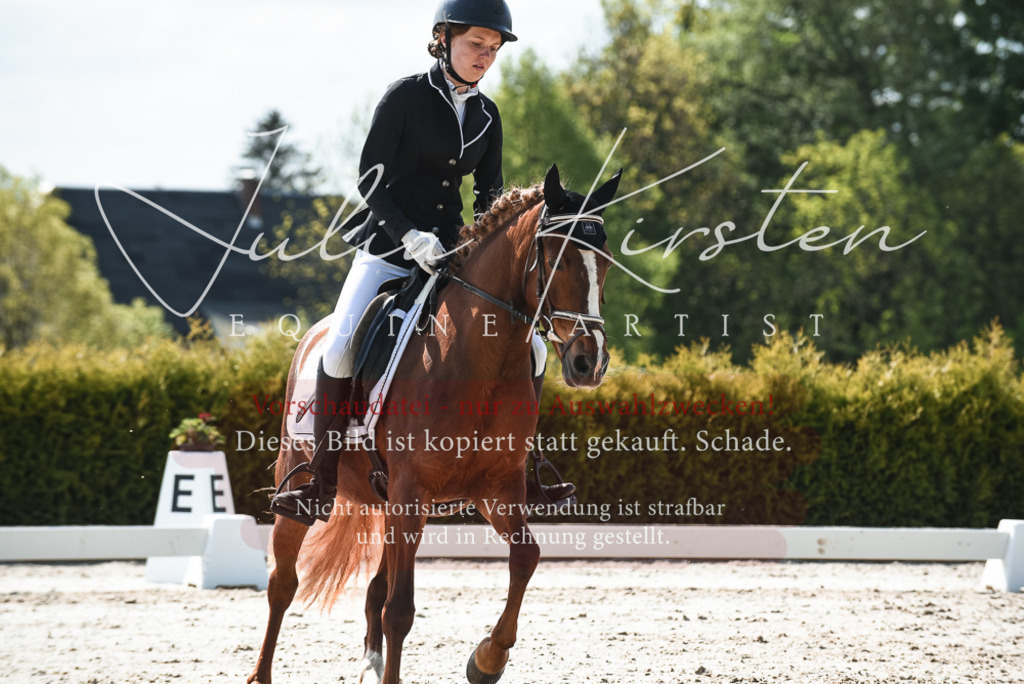 20230518_JK-Röhrsdorf-09-1544 | Pferde- und Turnierfotografie in Westsachsen. Pferdeportraits, Auftragszeichnungen und intuitive Kunst.