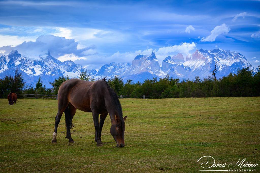 Torres del Paine in Chile | Torres del Paine in Chile