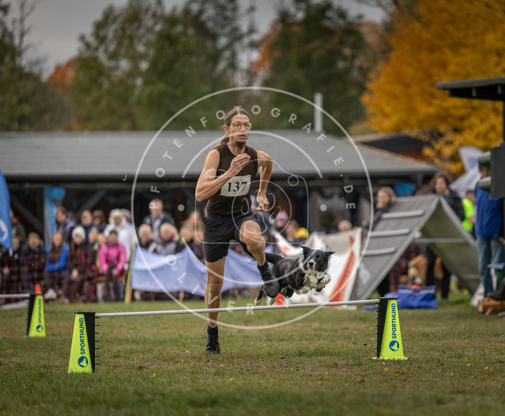 Pfotenfotografie_DV3A7853 | Hundefotografie, Tierfotograf, Pfotenfotografie, Fotoshooting Hund, Hunde Portrait, Hundesport, Hundeportraits, Heideshooting, Hunde, Sportfotograf, Hundefotograf, Turnierhundsport, THS,  - Realisiert mit Pictrs.com