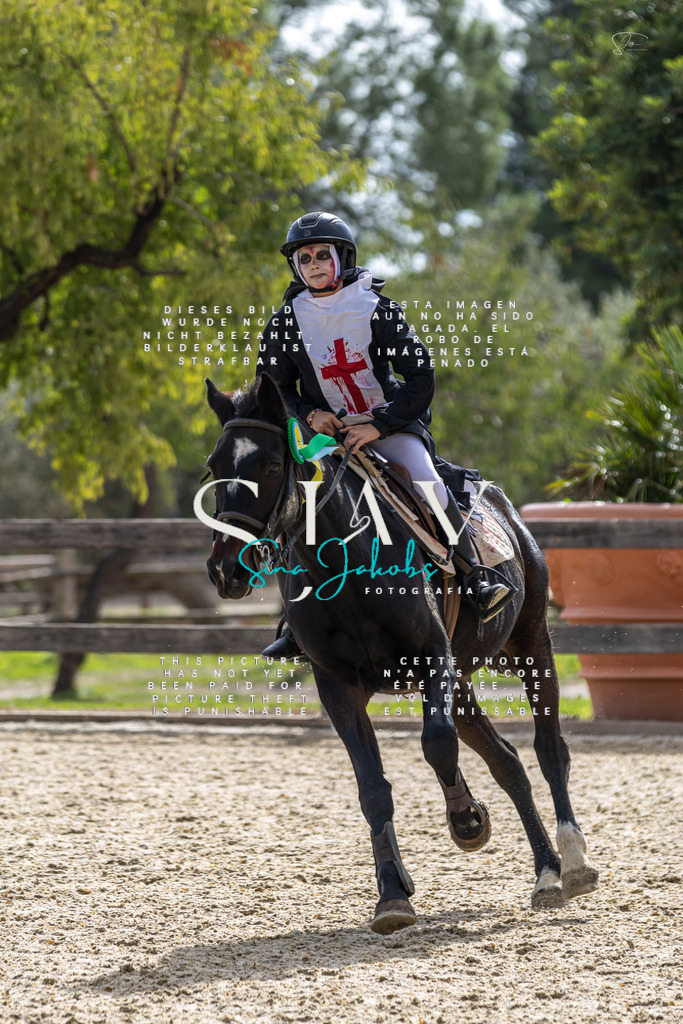 IMG_2796 | s-jay-photography - Realisiert mit Pictrs.com