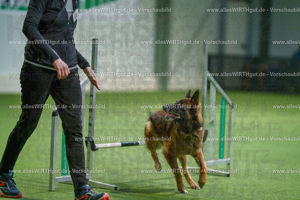 7R505672 | Professionelle Tierfotografie in Mönchengladbach von Daniel Wirth (allesWIRTHgut). Liebevolle & natürliche Bilder von Hunden & Katzen für unvergessliche Erinnerungen.