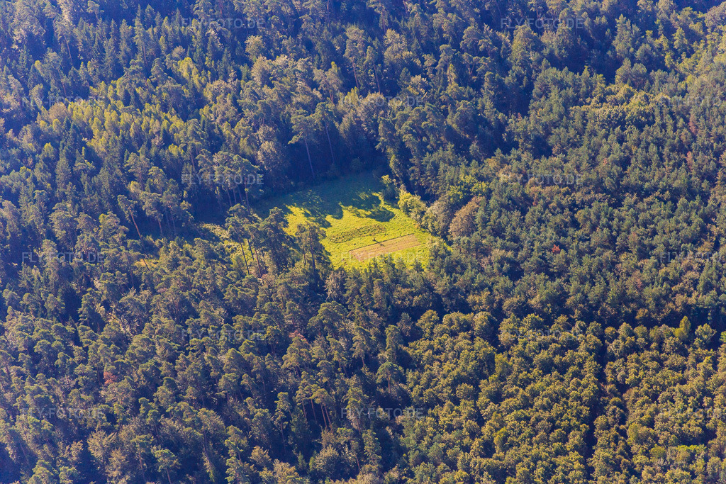 Luftbild: Lichtung im Bienwald im Ortsteil Büchelberg in Wörth im Bundesland Rheinland-Pfalz in Deutschland. Foto: IMG_092554.jpg vom 01.08.2016 durch Werner Riehm/FLY-FOTO.de
