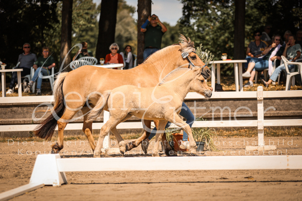 05.DoF00013 | Leoni Ertmer Photography - Realisiert mit Pictrs.com