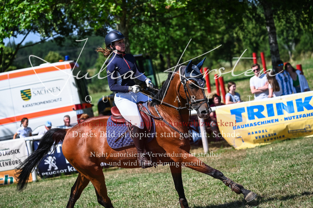 DSC_1355 | Pferde- und Turnierfotografie in Westsachsen. Pferdeportraits, Auftragszeichnungen und intuitive Kunst.
