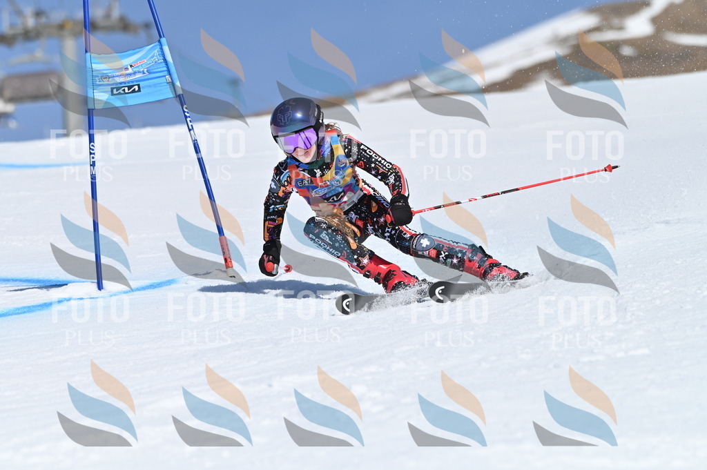 BGV_8962 | holidayphoto