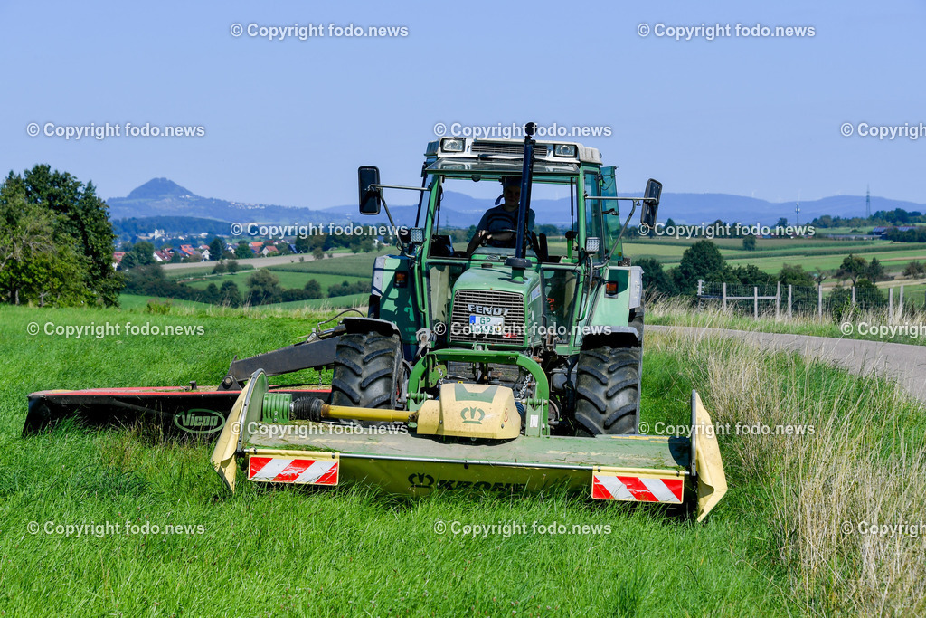 Deutschland_ Baden-Wuerttemberg_ Ebersbach an der Fils_ 09.08.2025-7 | 09.08.2025, Deutschland, GER, Baden-Wuerttemberg, Ebersbach an der Fils, im Bild Themenbild, Abmaehen, Wiese, Traktor, Landwirtschaft, Heuernte, Maehwerk, Gras schneiden, Feldarbeit, Landmaschine, Ernte, Gruenfutter, Silage, Arbeitsschritt, Motor, Schnittbreite, Fahrer, Natur, Sommer, Nutzflaeche, Pflanzenpflege, Agrarwirtschaft, Feld, Bodenbearbeitung, Praezision, Erntetechnik, Bauer, Baeuerin, Feature, Symbolbild