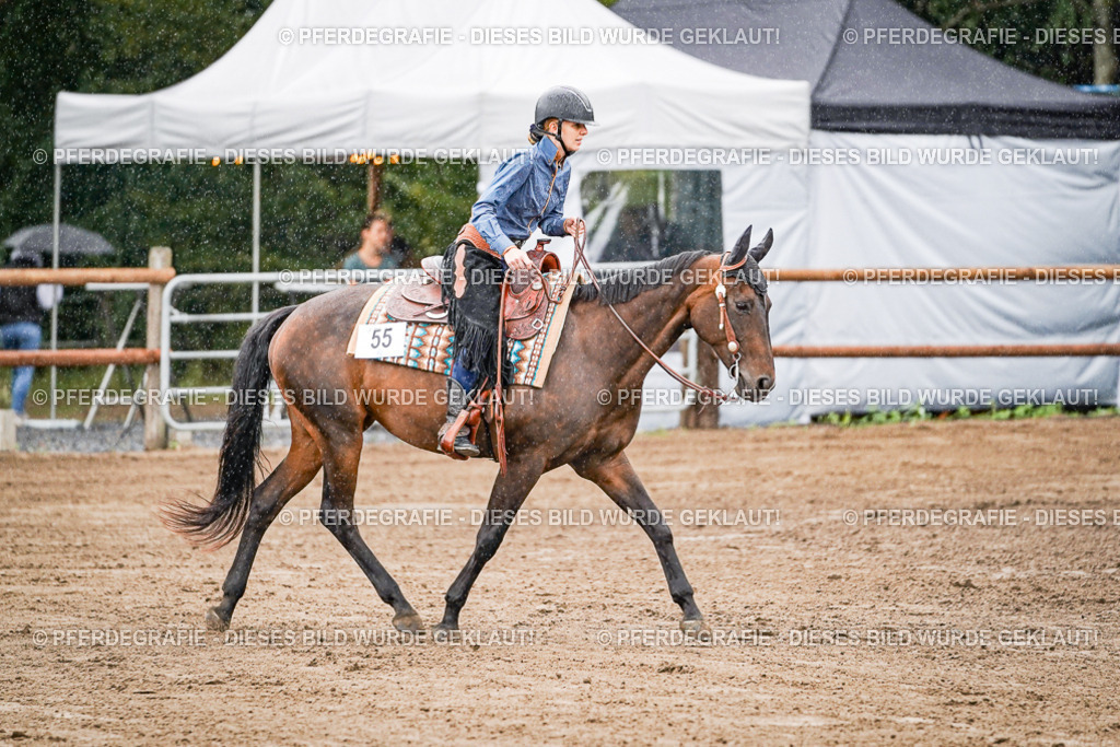 DSC05921 | Pferdegrafie