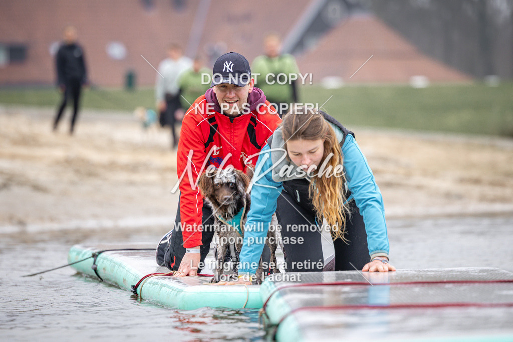 nelerasche_Hulsbeek_Sa1030-1100_343 | nelerasche