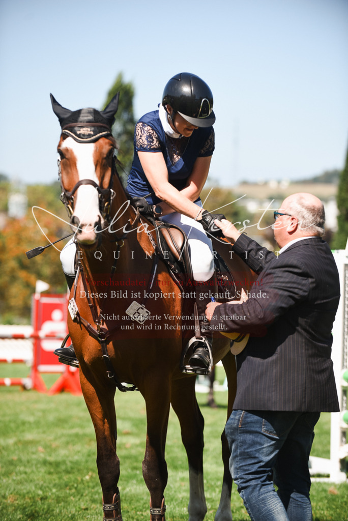 DSC_2939 | Pferde- und Turnierfotografie in Westsachsen. Pferdeportraits, Auftragszeichnungen und intuitive Kunst.
