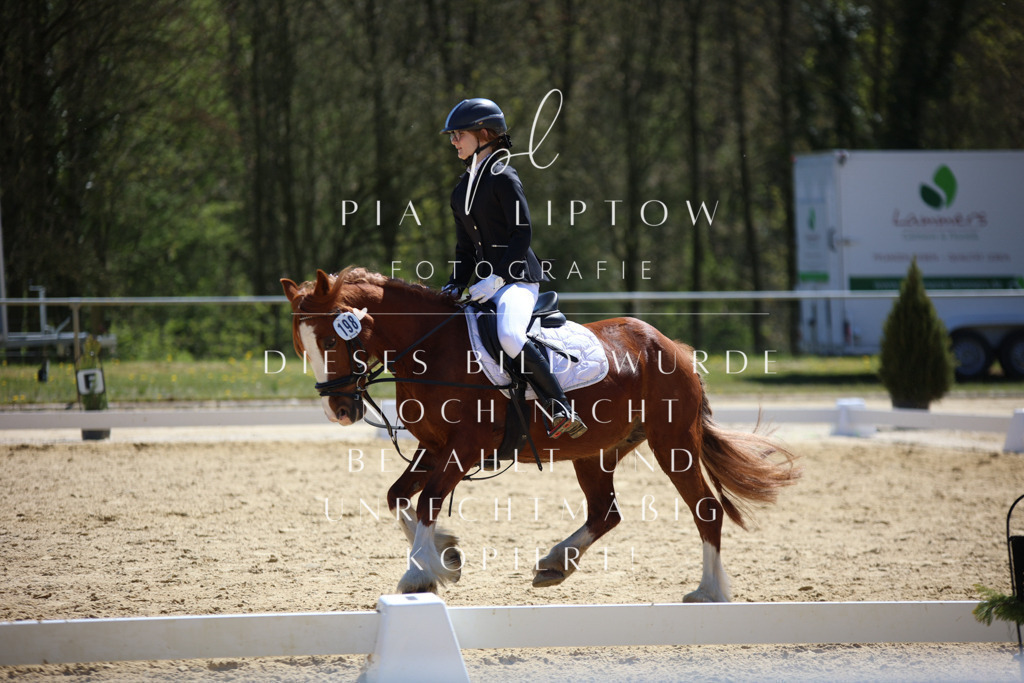 IMGT1074 | pl-fotografie