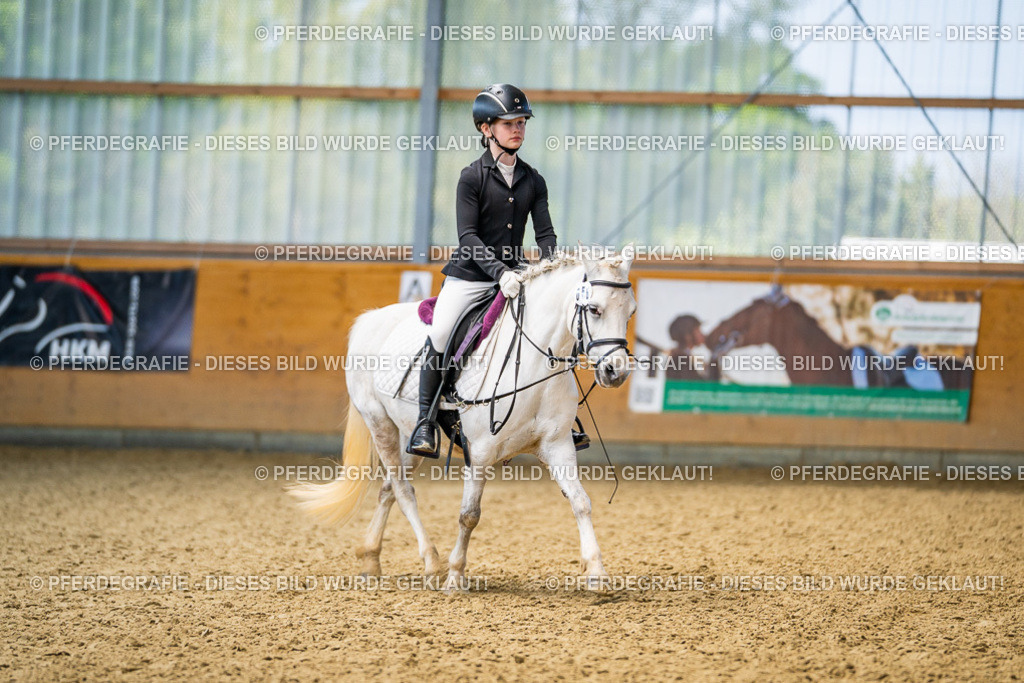 DSC02680 | Pferdegrafie