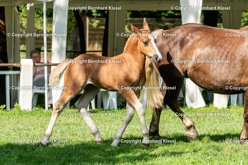 A9S03027 | foto-team-bernhard - Realisiert mit Pictrs.com