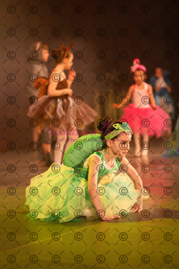 Ballettaufführung-1699 | Bildershop Lem'n Entertainment - Realisiert mit Pictrs.com