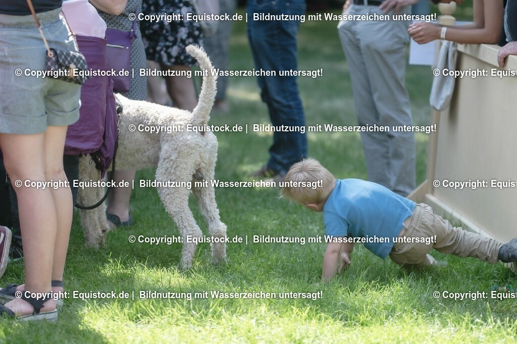 20230528_Voltigieren_NASPA_0269 | equistock