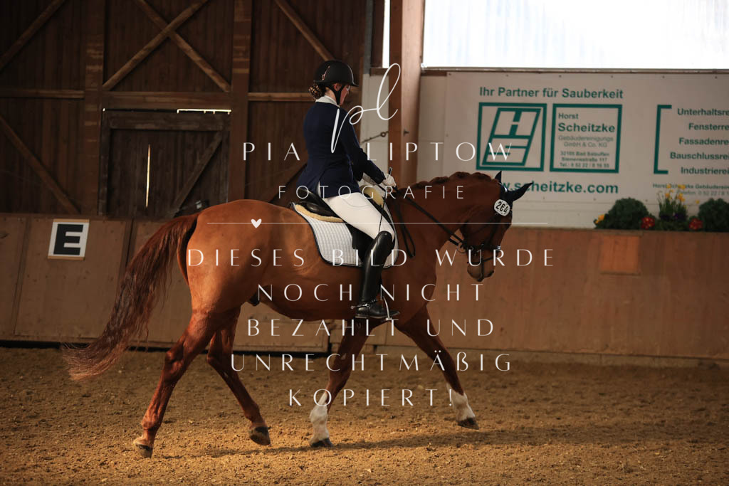 IMGT7653 | pl-fotografie