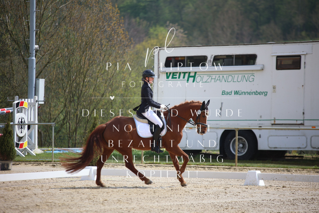 IMGT2462 | pl-fotografie