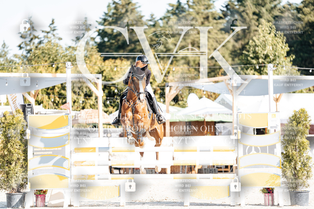 CK901547 | Turnierfotografie Pferdefotografie Trier Rheinland-Pfalz Pferdesport Reitsport Tierfotografie Sportfotografie Pferdevideo Pferdevideografie Equestrianvideography equestrianphotography  - Realisiert mit Pictrs.com