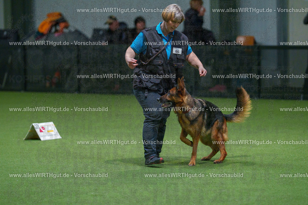 7R507956 | Professionelle Tierfotografie in Mönchengladbach von Daniel Wirth (allesWIRTHgut). Liebevolle & natürliche Bilder von Hunden & Katzen für unvergessliche Erinnerungen.