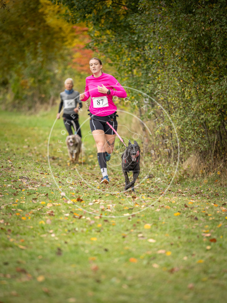 Pfotenfotografie_DV3A3192 | Hundefotografie, Tierfotograf, Pfotenfotografie, Fotoshooting Hund, Hunde Portrait, Hundesport, Hundeportraits, Heideshooting, Hunde, Sportfotograf, Hundefotograf, Turnierhundsport, THS,  - Realisiert mit Pictrs.com