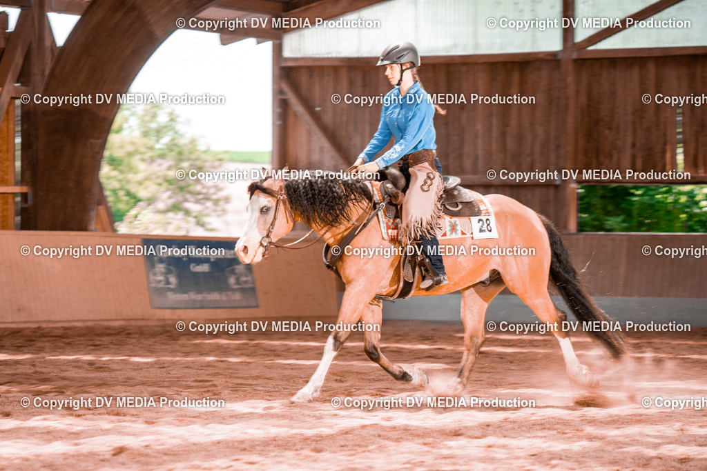 NE200674 | dv-media-shop - Realisiert mit Pictrs.com