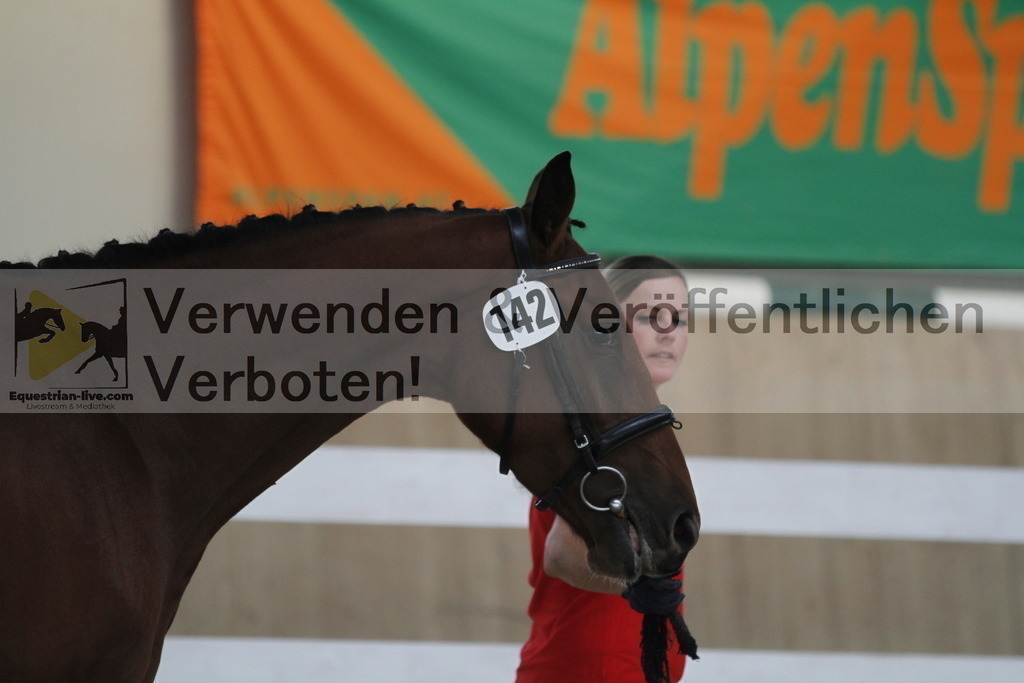 _MG_1007 | equestrian-live-com