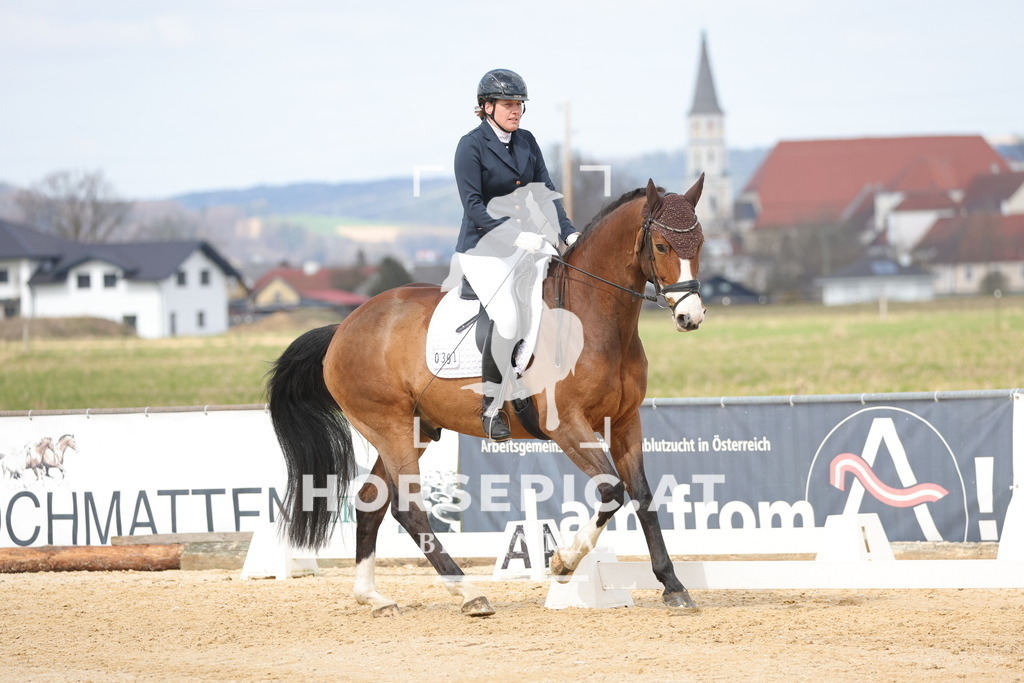 0P6A7401 | Willkommen bei Brunnmayr - Design & Fotografie – Ihrem Spezialisten für Reitturniere und Pferdeveranstaltungen in Oberösterreich, Salzburg und Bayern! Seit über 17 Jahren sind wir leidenschaftlich dabei.