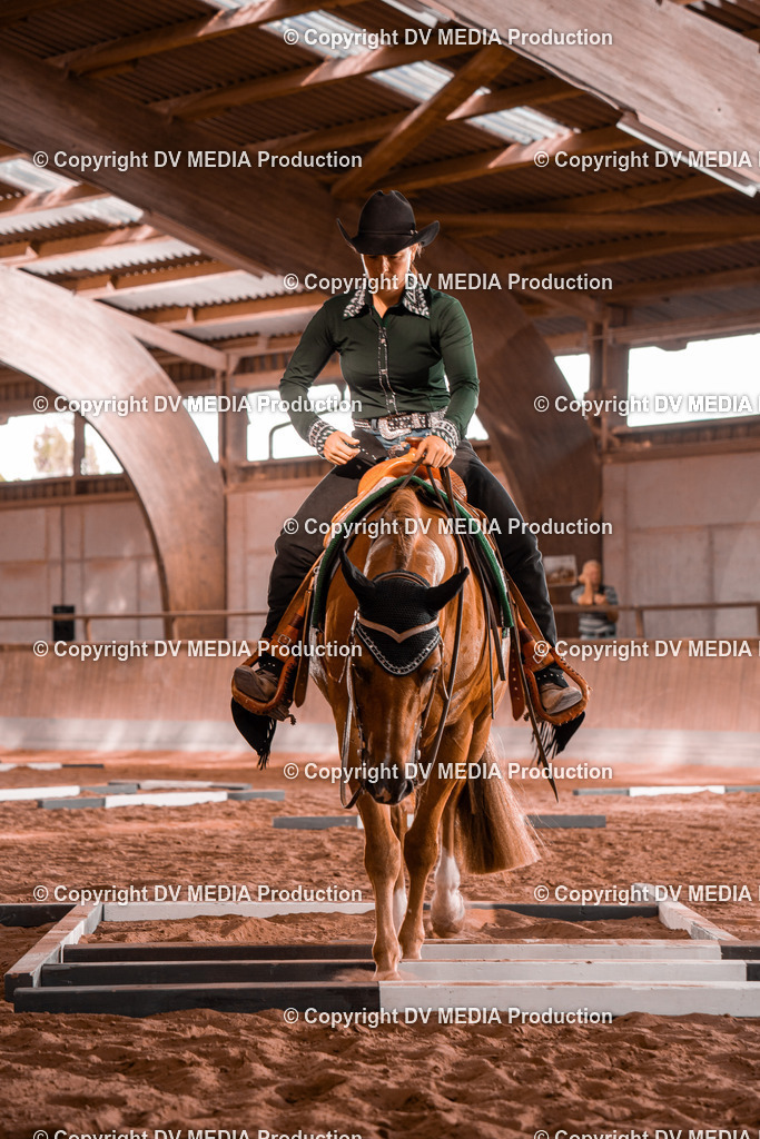 NE300171 | dv-media-shop - Realisiert mit Pictrs.com