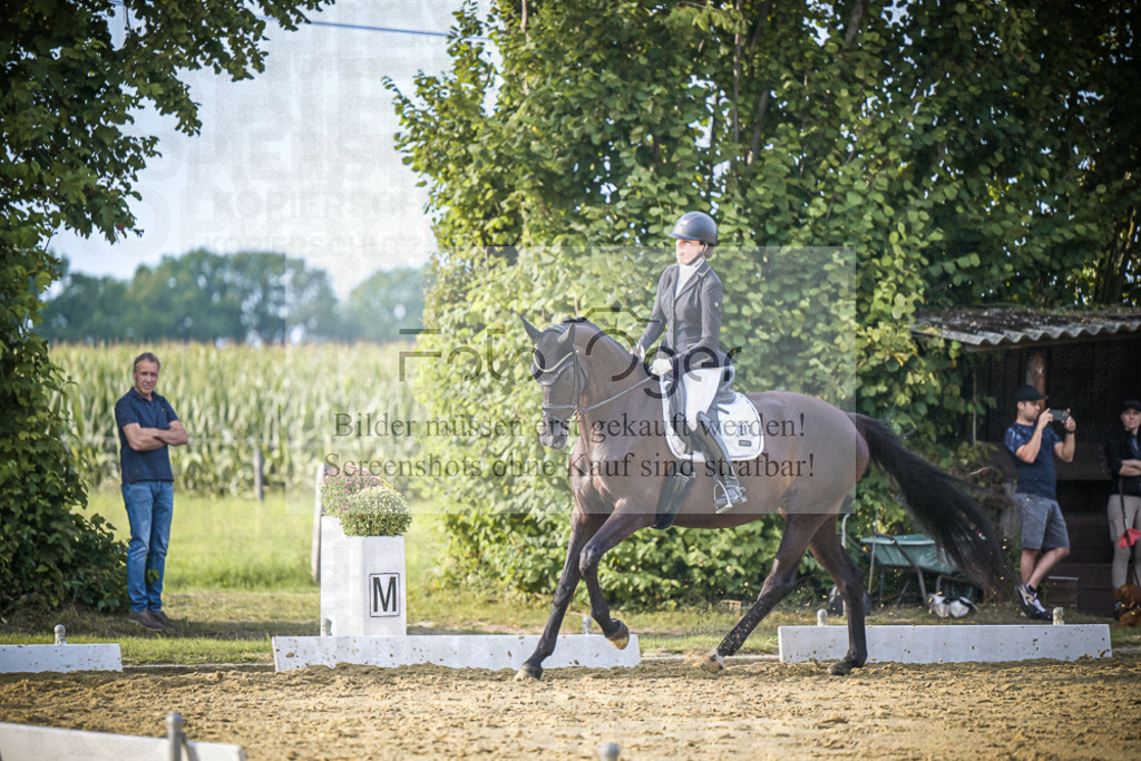 DOS_1054 | Entdecke hochwertige Reitturnierfotos von Foto Oger. Professionell, emotional und authentisch – jetzt Lieblingsmomente im Shop bestellen.Deutschlandweite Turnierfotografie. - Realisiert mit Pictrs.com